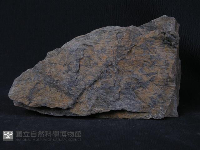 藍色片岩藏品圖，第2張
