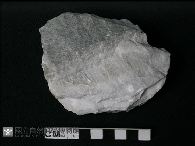 大理岩藏品圖，第2張