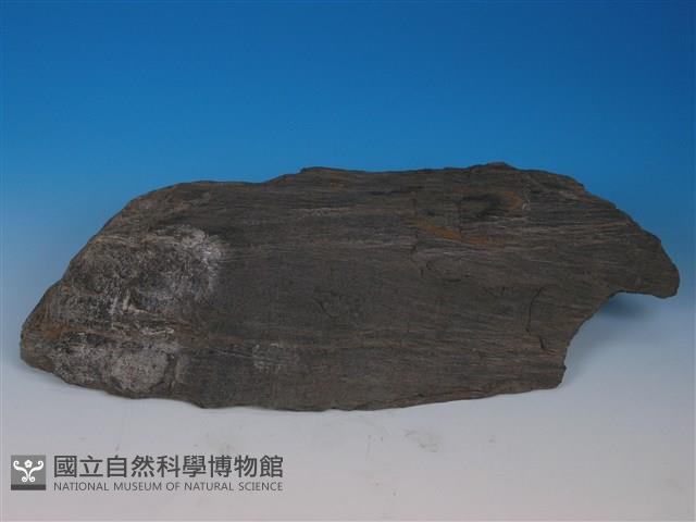 黑色片岩藏品圖，第2張