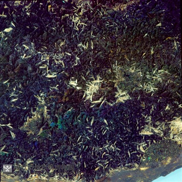 明礬石藏品圖，第2張