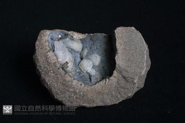 片沸石藏品圖，第2張