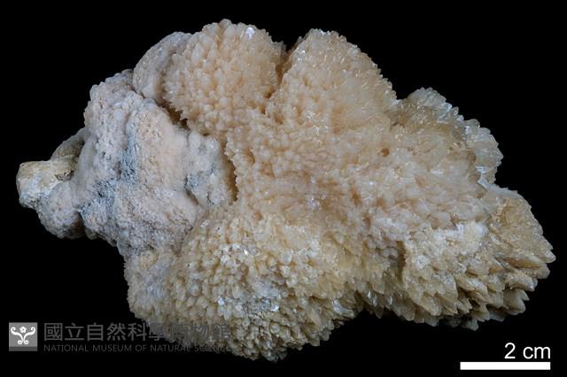 鐘乳石藏品圖，第2張