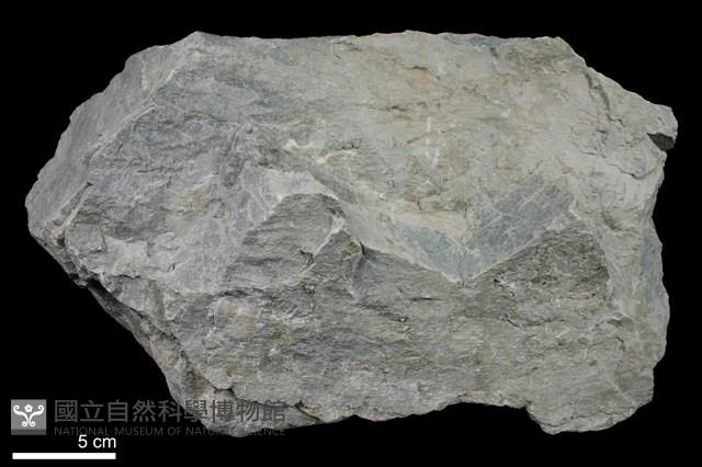 白雲岩藏品圖，第2張