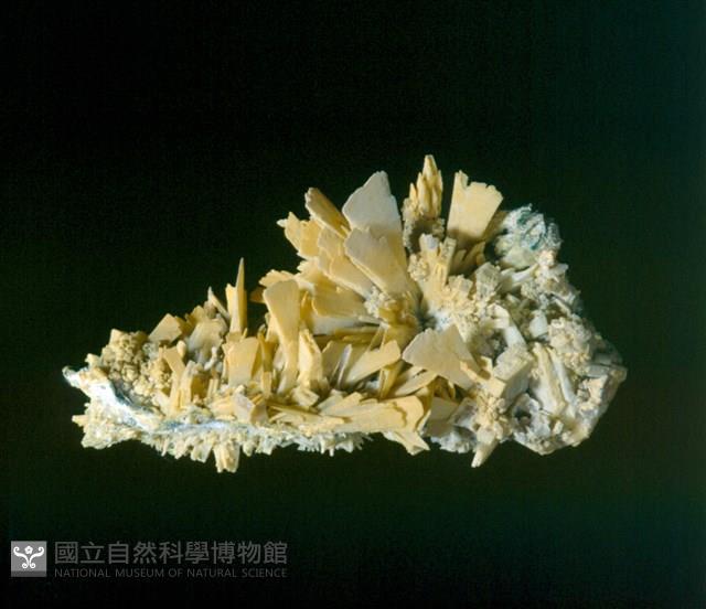 硬石膏藏品圖，第2張
