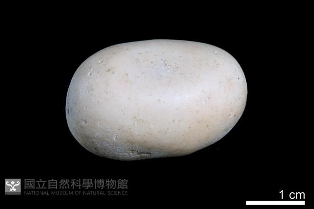 洞穴珍珠藏品圖，第2張