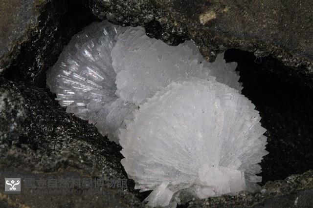 柱沸石 藏品圖，第2張