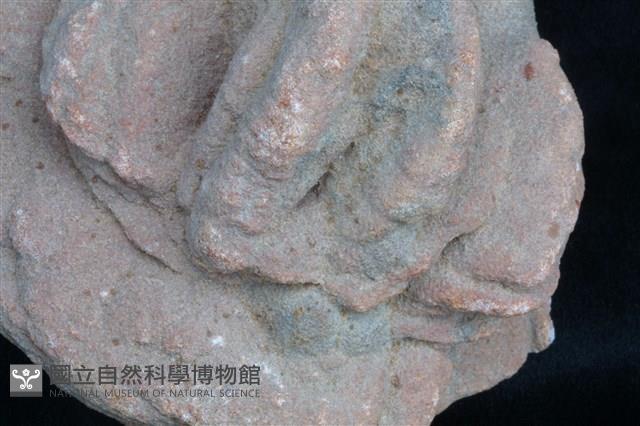 重晶石藏品圖，第2張