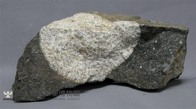 火山碎屑岩藏品圖，第2張