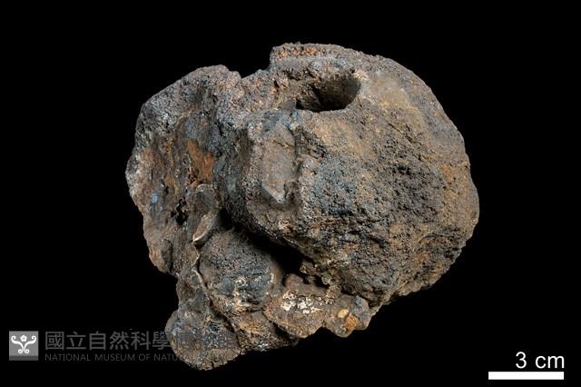 錳核藏品圖，第2張