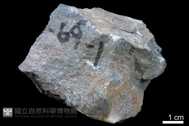 泥灰岩藏品圖，第2張