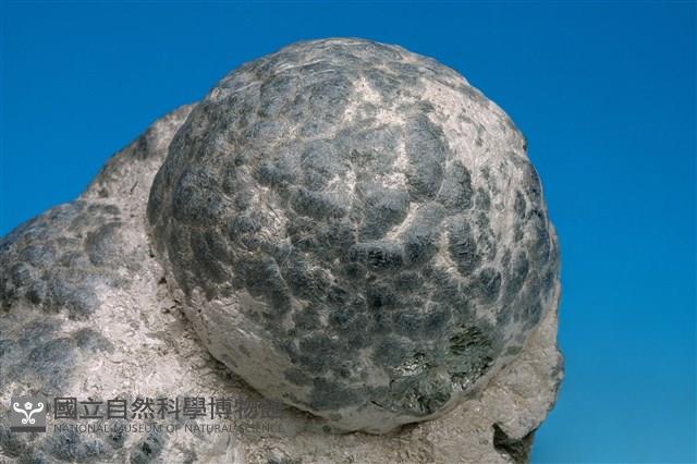 斜鎂綠泥石藏品圖，第2張
