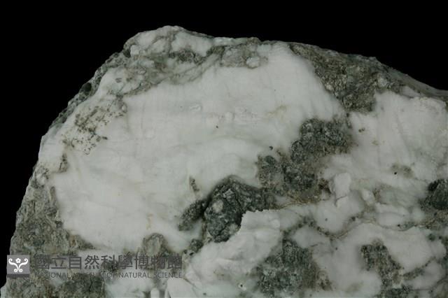 石膏藏品圖，第2張