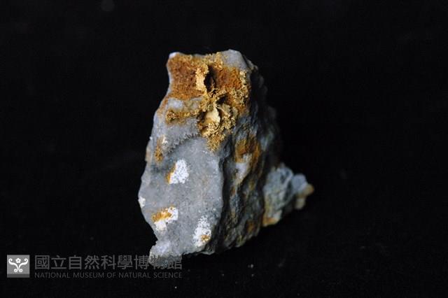 自然金藏品圖，第2張