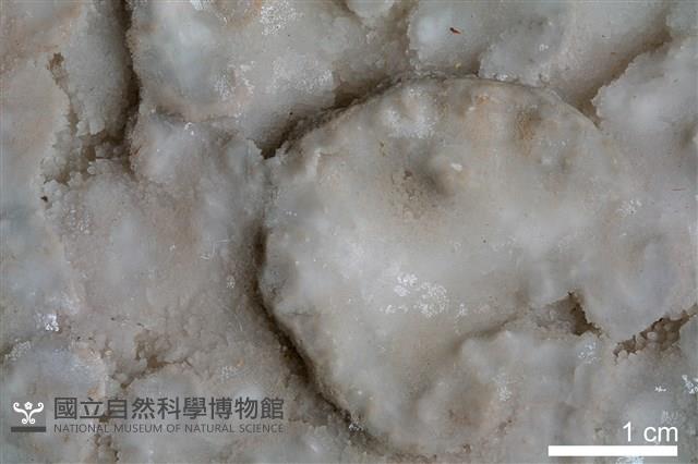 石灰華藏品圖，第2張