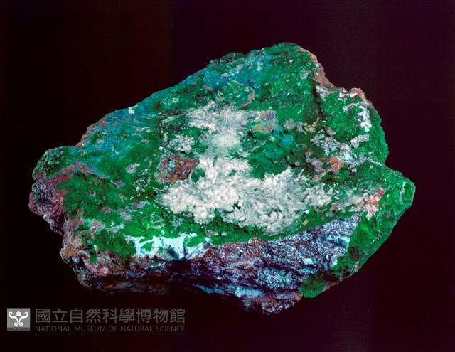 砷鈣銅礦藏品圖，第2張