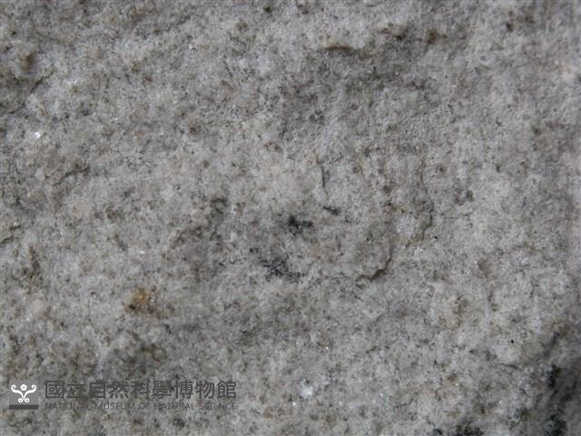 細晶岩藏品圖，第2張