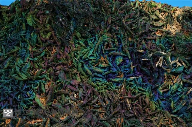 明礬石藏品圖，第2張
