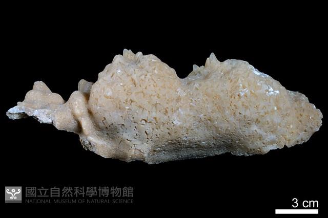 鐘乳石藏品圖，第2張
