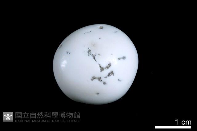 洞穴珍珠藏品圖，第2張