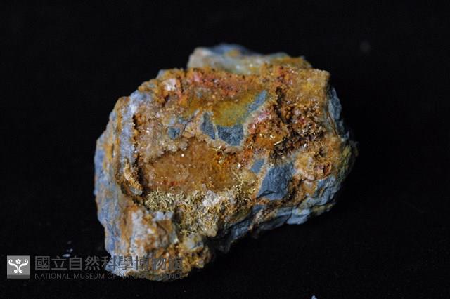 自然金藏品圖，第2張