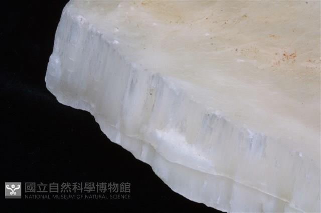 石膏/纖維石膏 藏品圖，第2張