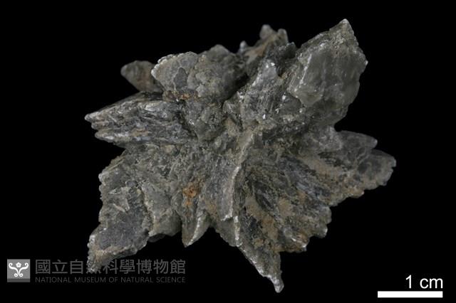 石膏藏品圖，第2張