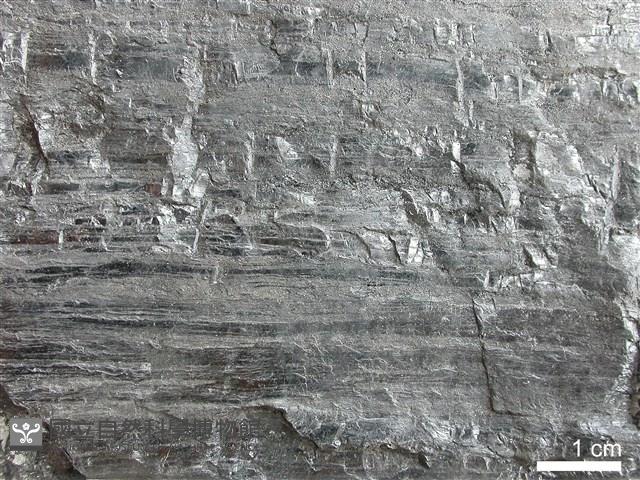 煤藏品圖，第2張