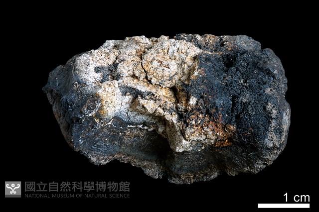 錳核藏品圖，第2張