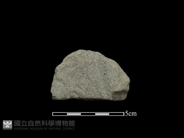 斧鋤形器藏品圖，第1張