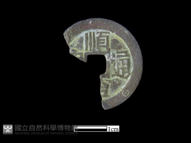 銅錢藏品圖，第1張