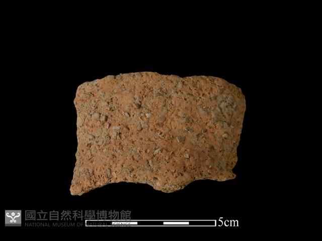 陶片藏品圖，第1張