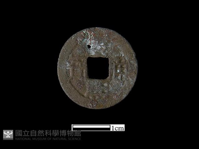 Accession Number:BK1352 Collection Image, Figure 2, Total 2 Figures