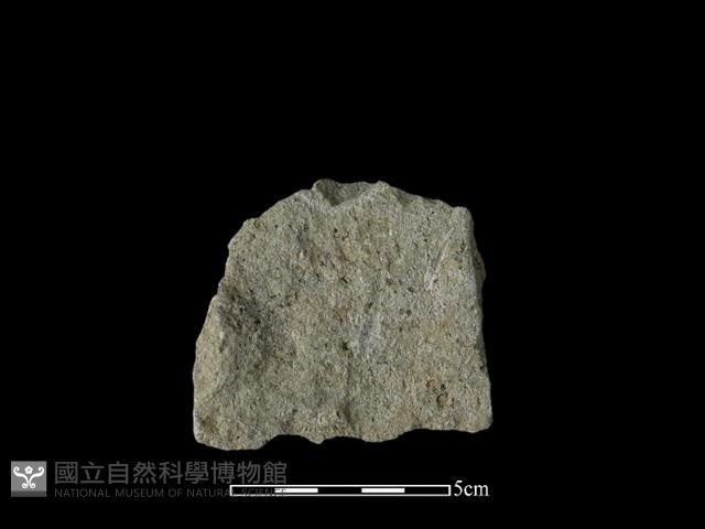 石片器藏品圖，第2張