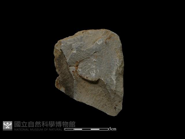 斧鋤形器藏品圖，第1張