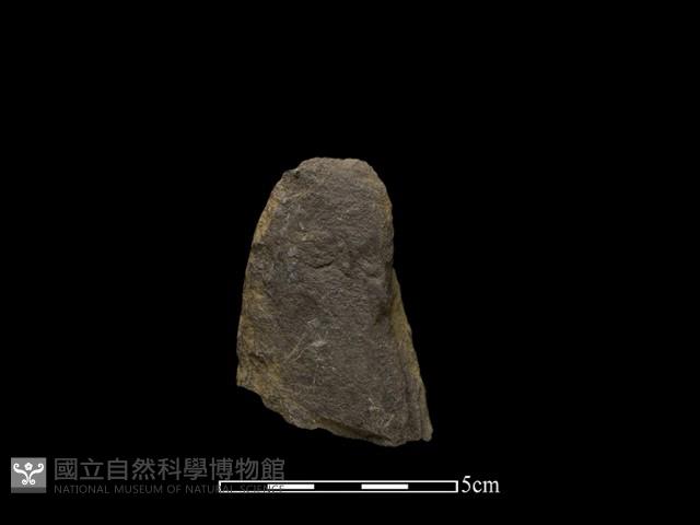 Accession Number:HWL-2014-128 Collection Image, Figure 2, Total 2 Figures