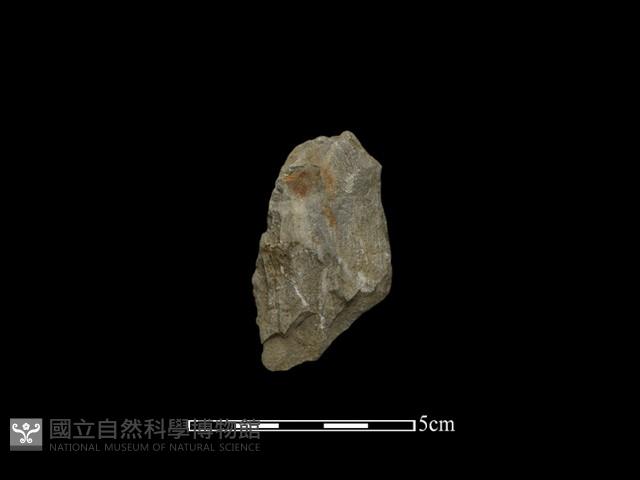 掘棒頭藏品圖，第1張