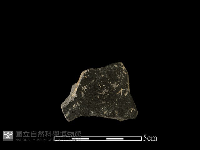 陶片藏品圖，第1張