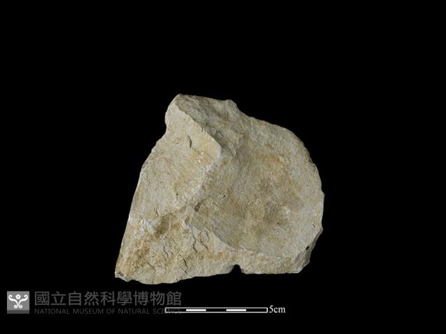 石片器藏品圖，第1張