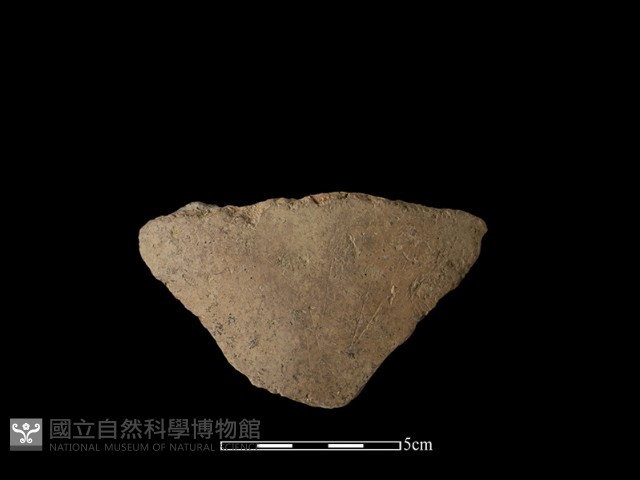 陶片藏品圖，第1張