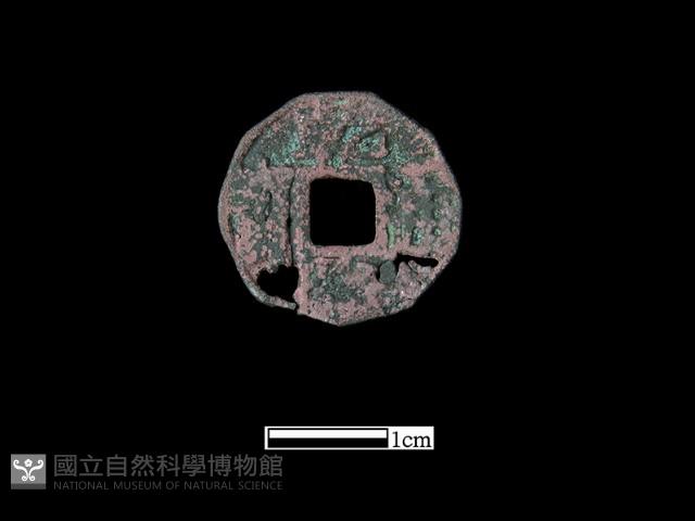 Accession Number:BK0959 Collection Image, Figure 2, Total 2 Figures