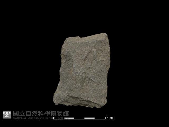 斧鋤形器藏品圖，第1張