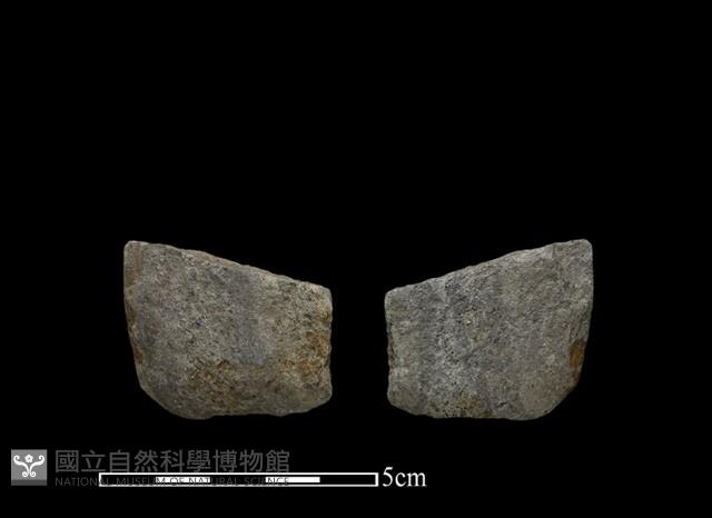 錛鑿形器藏品圖，第1張