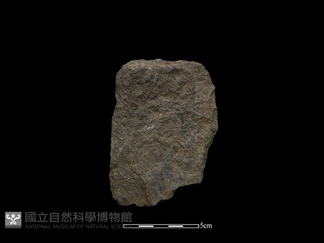 斧鋤形器藏品圖，第2張