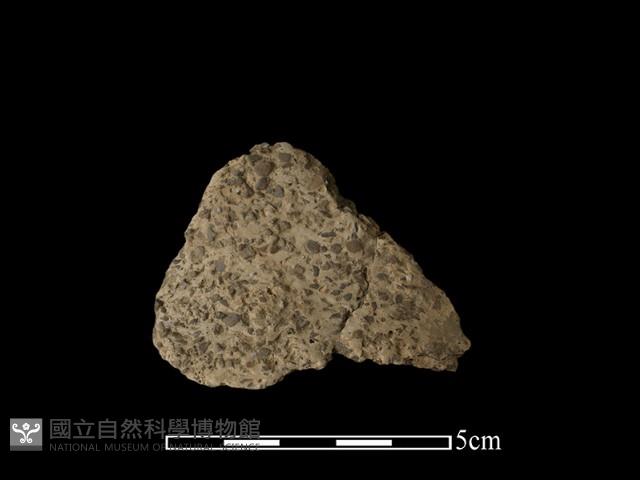 陶片藏品圖，第2張