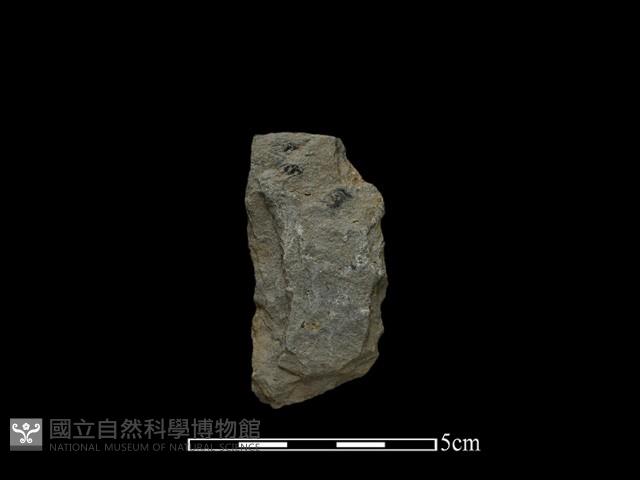 掘棒頭藏品圖，第2張