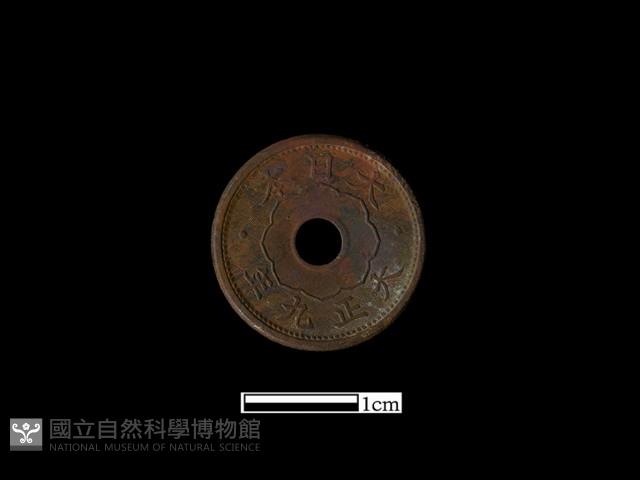 銅錢藏品圖，第2張