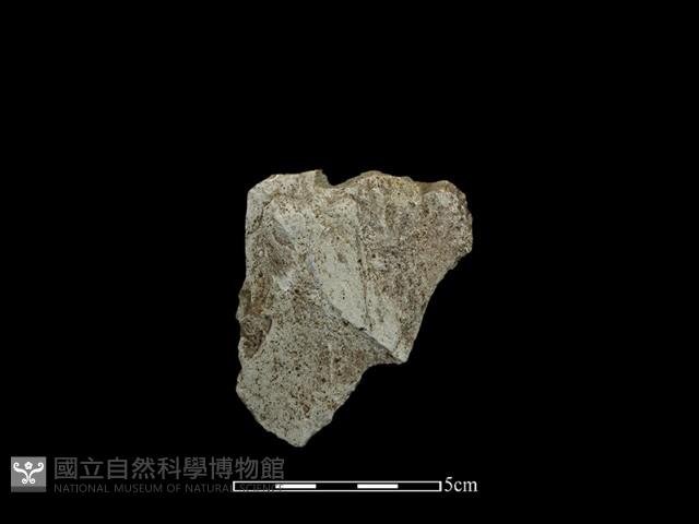 石片藏品圖，第1張