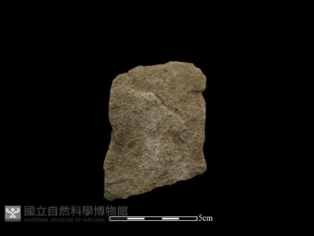 帶加工痕石材藏品圖，第2張