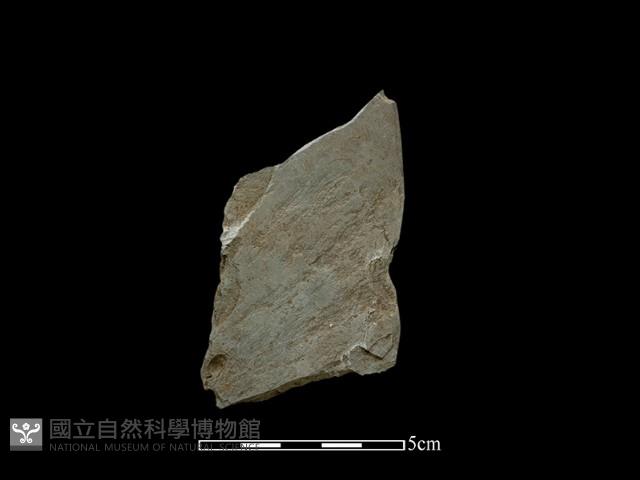 磨製石器藏品圖，第1張