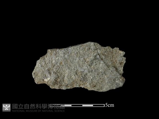 石片藏品圖，第2張